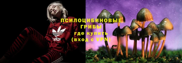 эйфоретик Карталы