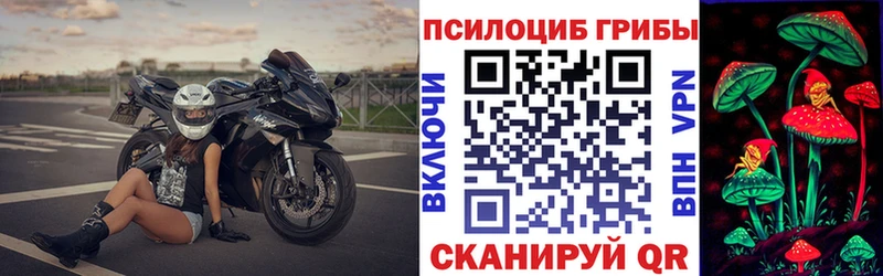 Купить  Карталы  Псилоцибиновые грибы прущие грибы 
